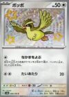Pidgey - 304/190