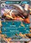 Houndoom ex - 134/197