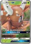 Pinsir Gx - 24990